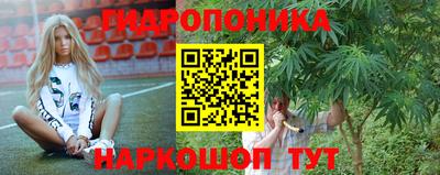 ГАЛЛЮЦИНОГЕННЫЕ ГРИБЫ Заволжье