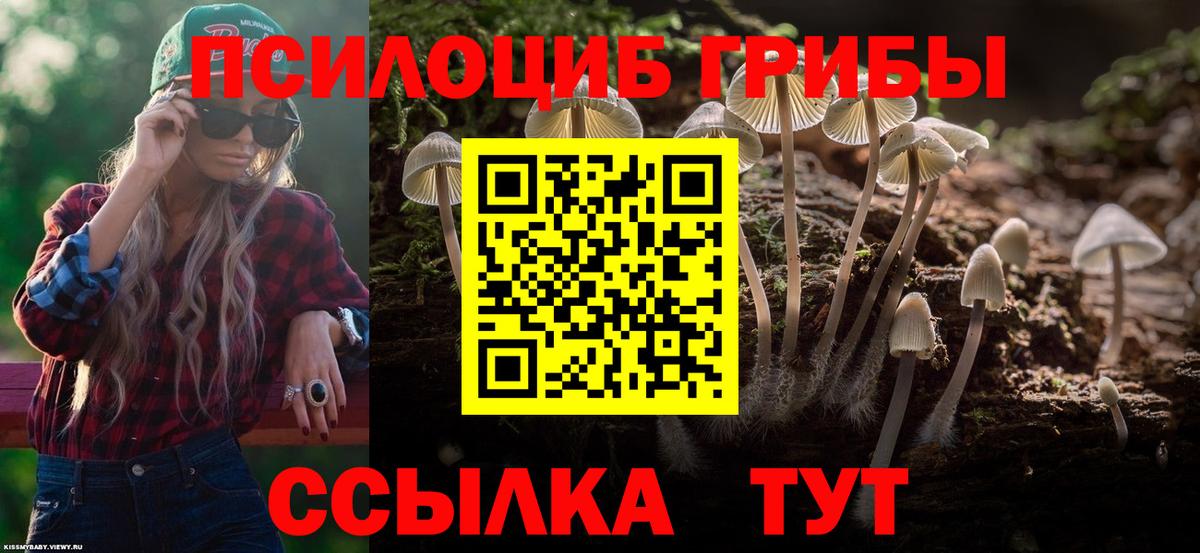 Галлюциногенные грибы прущие грибы  Вход с VPN  Клин  Псилоцибиновые грибы Cubensis 